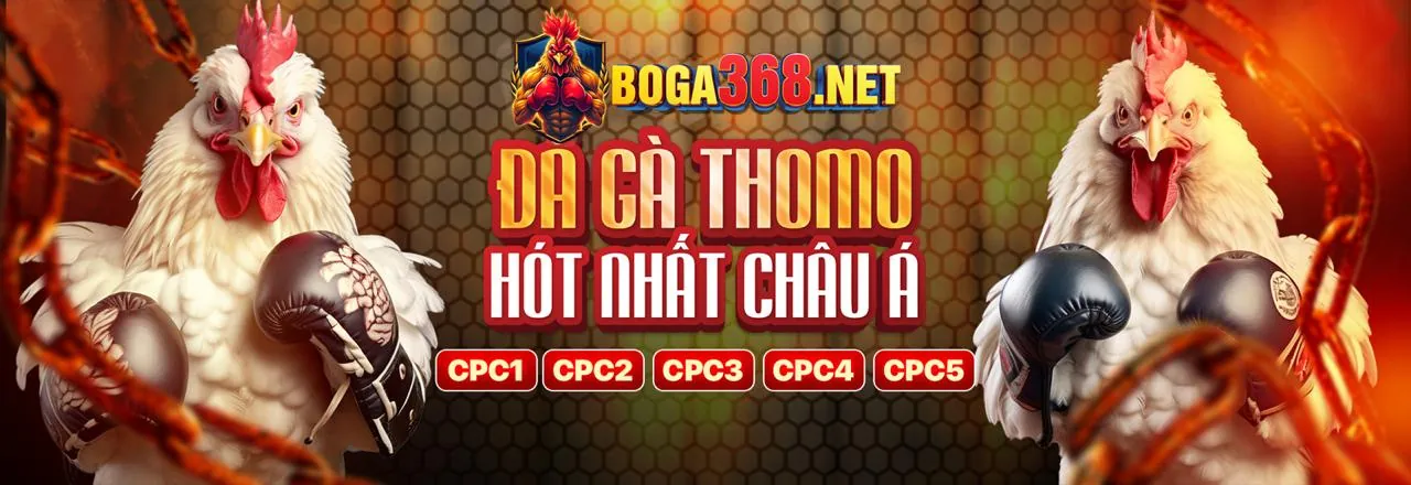 Tổng quan về cá cược thể thao ace88